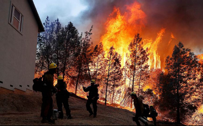 Фото: Stephen Lam / Reuters